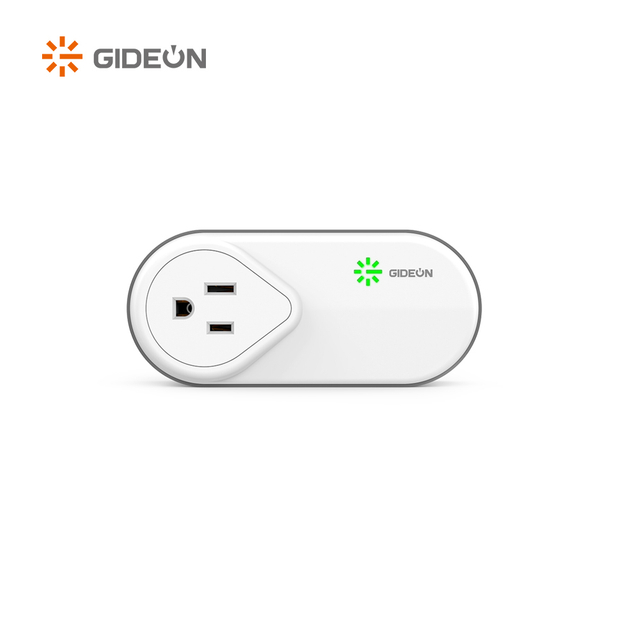 GD-V583 5-15 120VAC Домохозяйственная плавка и гнездо переворот и защитный защитник.
